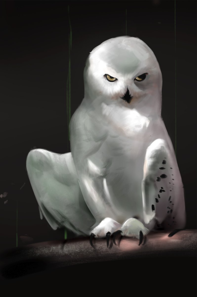 Quick study from today. 1 Hour.

#digitalart