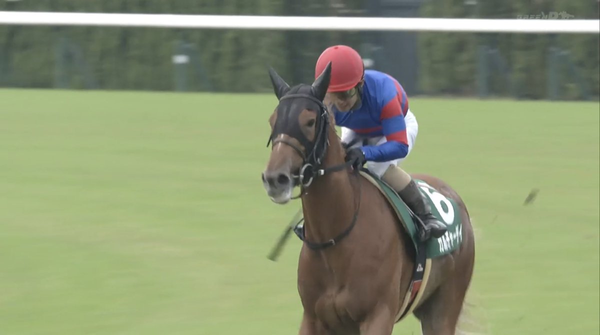 ファインニードルページ ファインニードル - Fine Needle - 競走馬データベース | 競馬ラボ