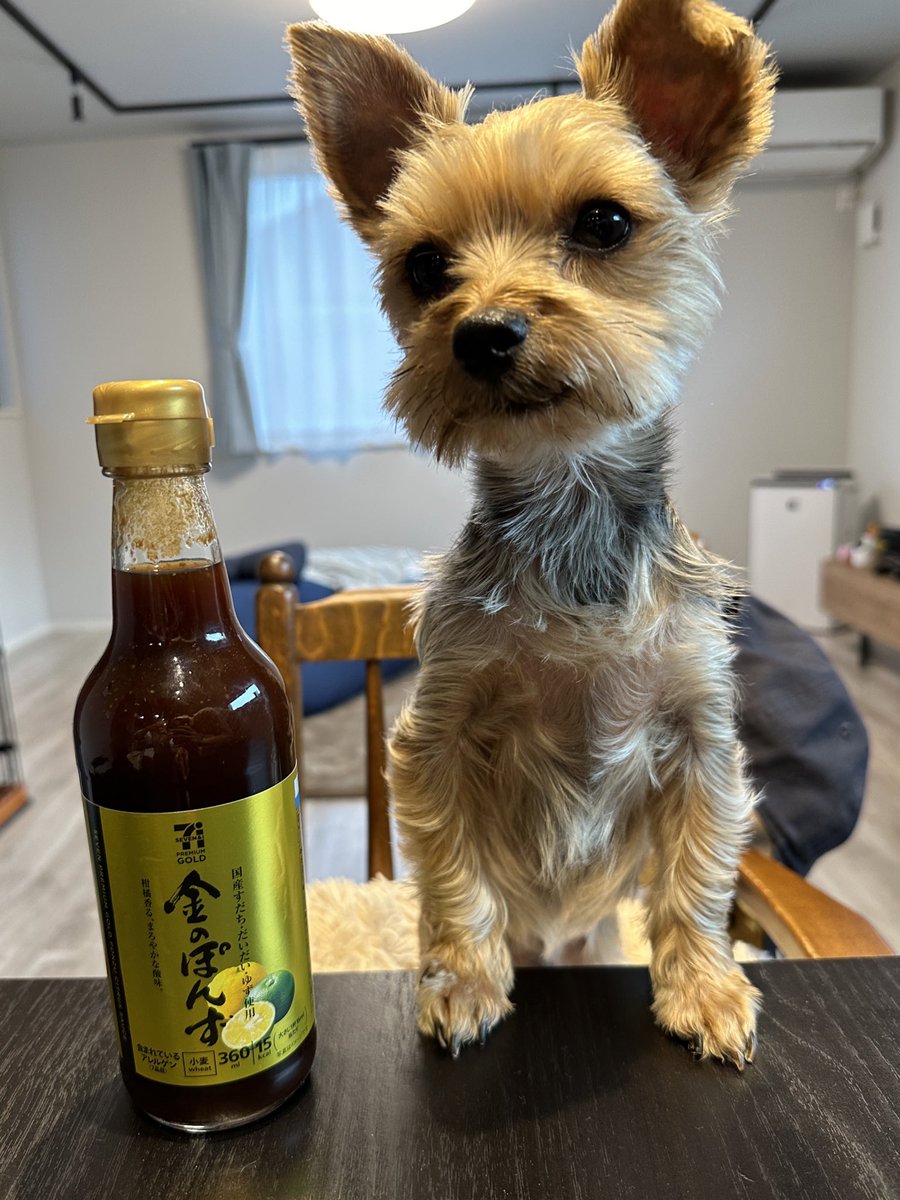 ぽんず ぽんず (@ponzoo0728) / Posts / X