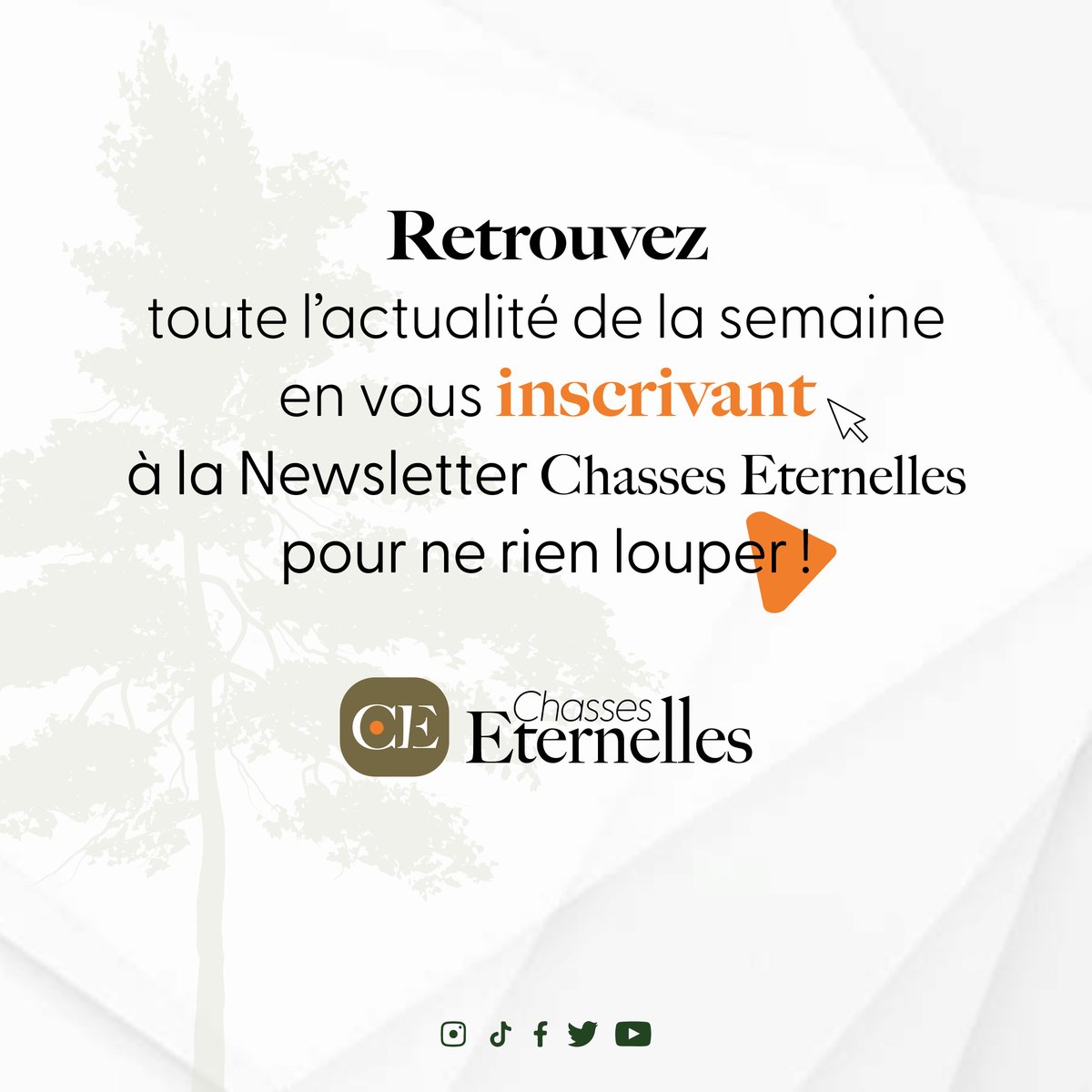 ChassesEtern's tweet image. Chasses Éternelles c'est LE rendez-vous des #chasseurs à l'#affut de l'#actu !! Venez vite découvrir le #nouveau site internet ! Et pour ne rien louper, inscrivez-vous à la #newsletter qui réunie toutes les infos de la semaine !🐗🪶🦌

#chasseseternelles #richardsurterre #chasse