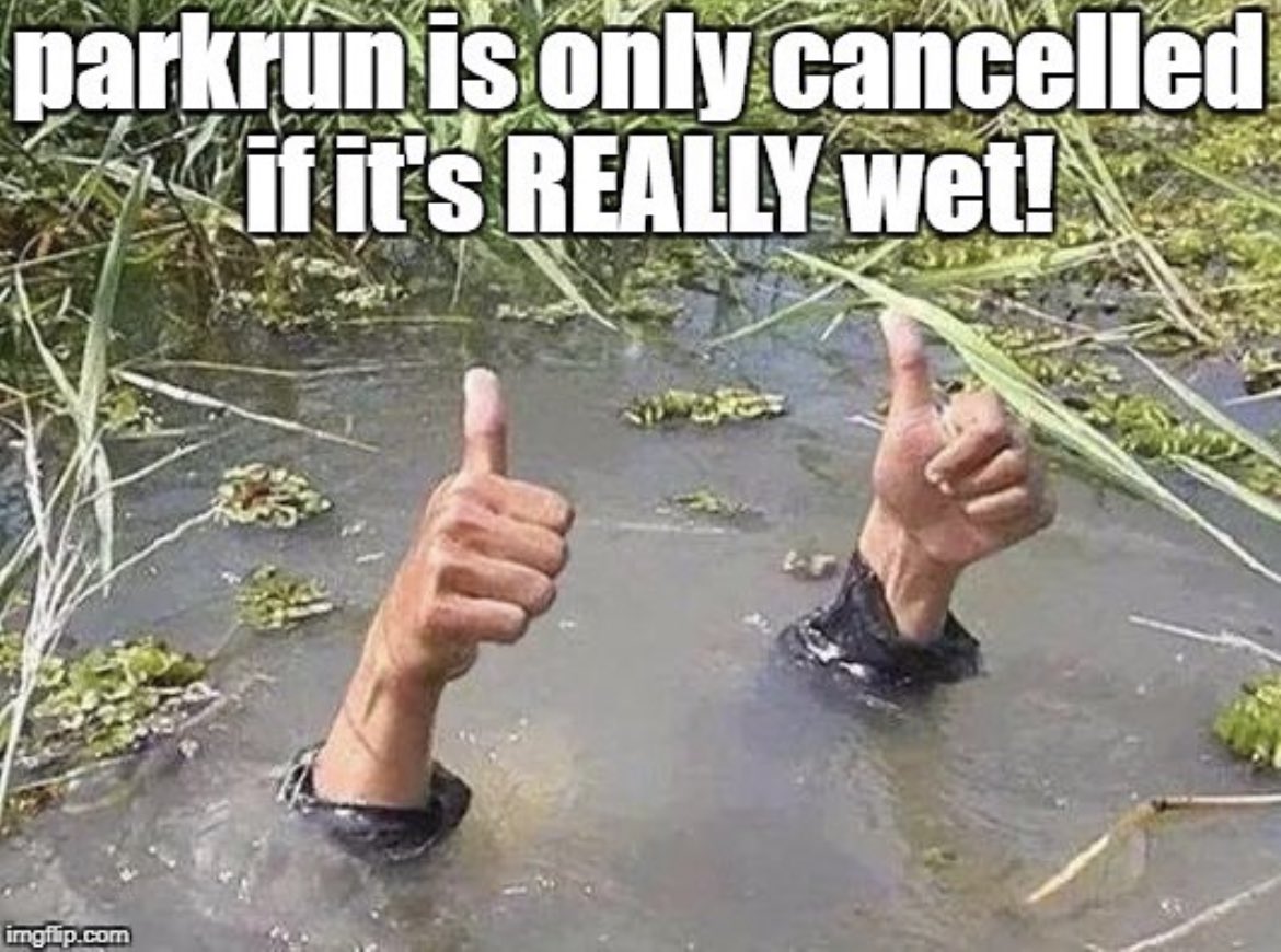 Zoey White tweet media