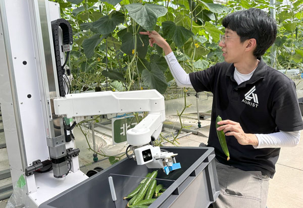 EconomicIct's tweet image. AGRIST has installed a cucumber harvesting robot at Takamiya’s Aina Hanyu Farm in Hanyu City, Saitama Prefecture.
denkeishimbun.co.jp/en/ 
#AGRIST #harvestingrobot