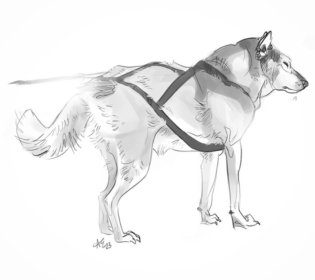 AddieElisabethT's tweet photo. One of my favorite things to sketch are sled dogs ☺️ https://t.co/tEnLfYCJgt