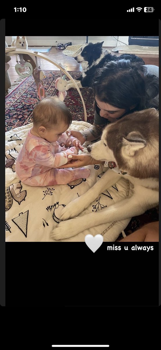 ptxtrix's tweet image. @kirstin 🥺 miss him always 🤍