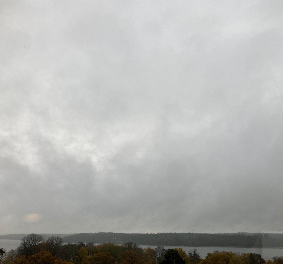 Pippa Couch tweet media