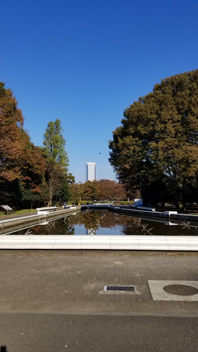 DocFAI2's tweet photo. 久々に投稿。
朝の代々木公園。正面には！。DocFAIもあそこに入るぞ～。 https://t.co/ESZPHBn87c