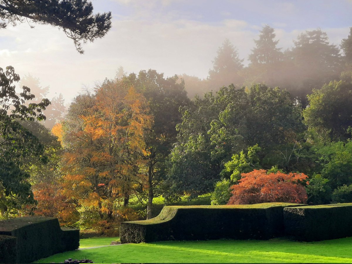 A crisp morning and sharpe hedges <a href="/DartingtonTrust/">Dartington Trust</a> #gardens <a href="/DevonGardens/">Devon Gardens Trust</a> <a href="/DevonLife/">Devon Life</a> <a href="/VisitDevon/">Visit Devon</a> <a href="/visitsouthdevon/">Visit South Devon</a> <a href="/garden_uk/">Garden Visitor UK</a> <a href="/countrylivinguk/">Country Living UK</a>