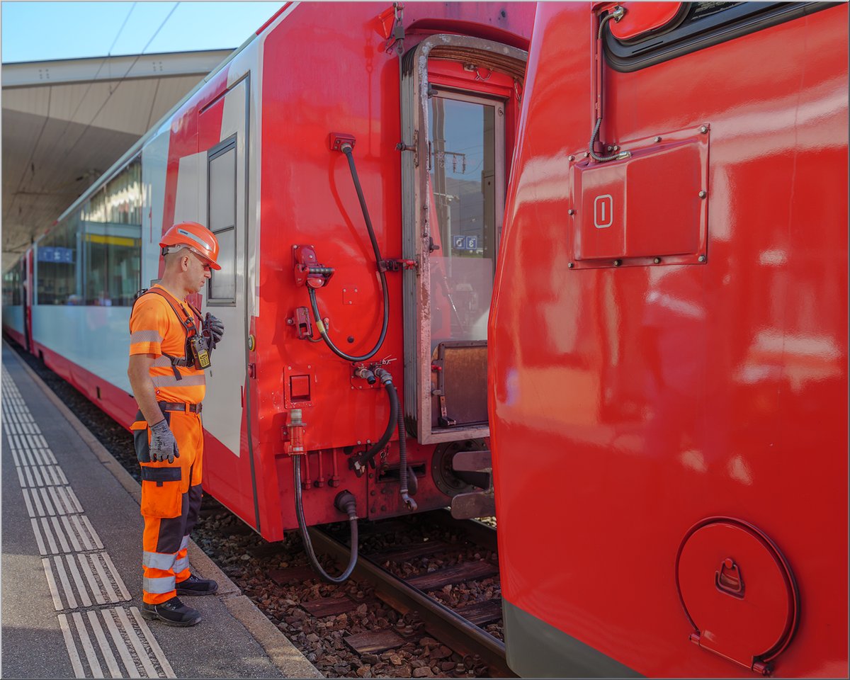 Daily Picture Theme tweet media