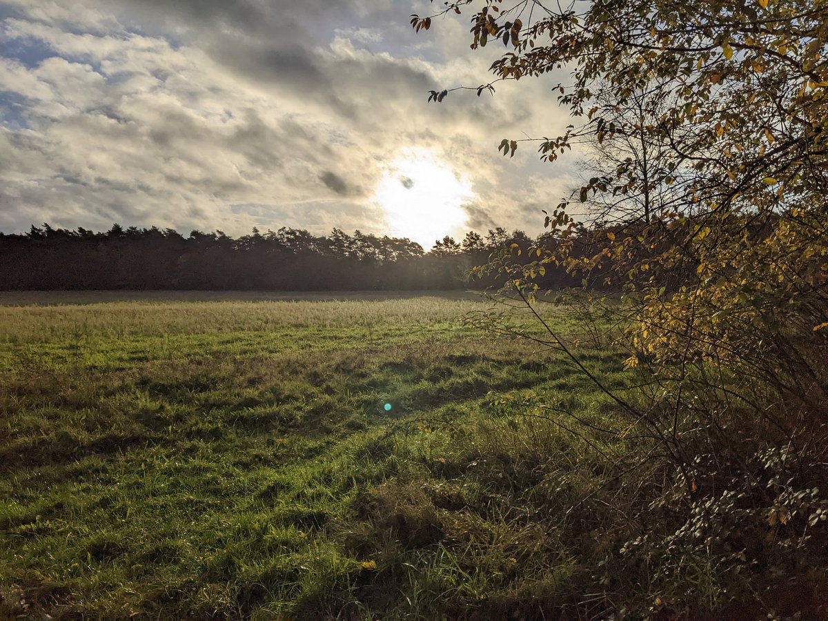Goedemorgen! Na een week met regen en storm, schijnt er nu een prachtig zonnetje. Dus hoppa, we gaan de natuur een handje helpen tijdens de #Natuurwerkdag. Jij ook?
<a href="/OmroepGLD/">Omroep Gelderland</a> <a href="/SLGelderland/">Stichting Landschapsbeheer Gelderland</a>