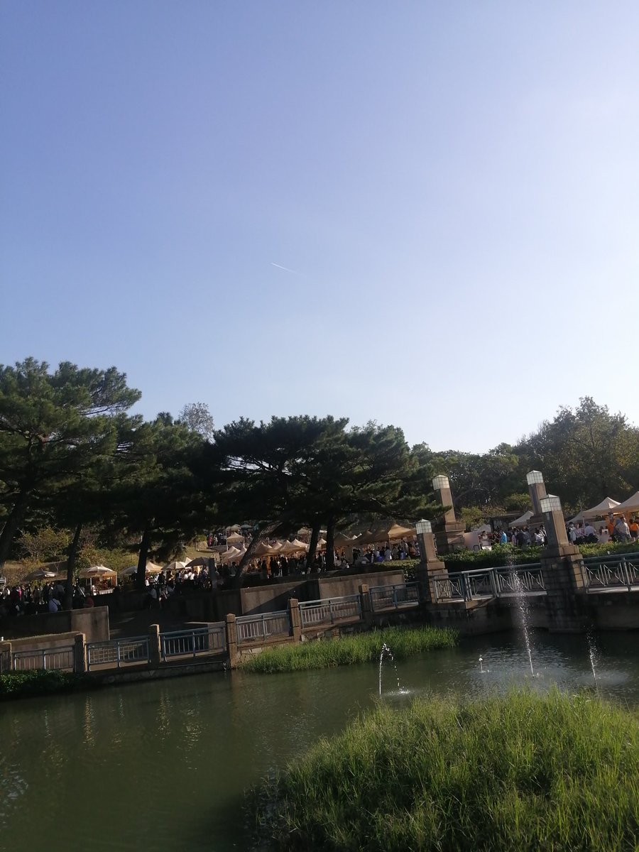 市集 也來的＋1❤️