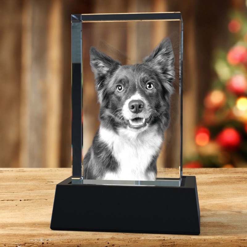Masterpics_3D's tweet photo. The Perfect Christmas Gift 🎄✨
Turn your favorite photos into a stunning 3D Crystal 💎