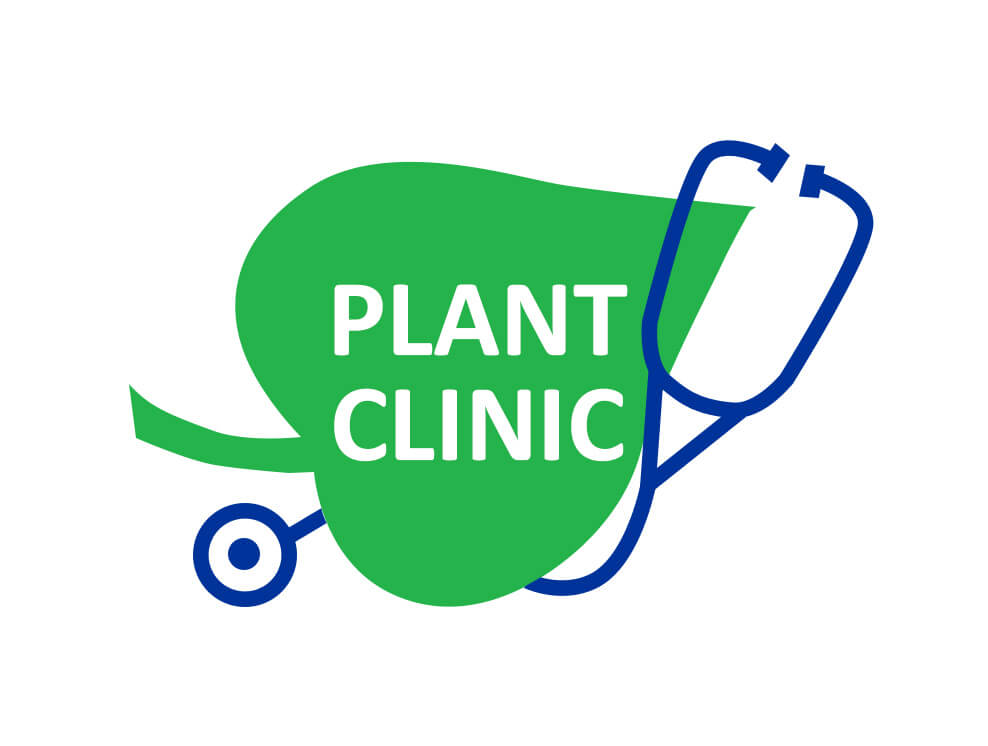 Onesmuslee0707's tweet photo. As the name suggests plant clinics are there to manage plant health problems. 
Plant clinics are run by trained plant doctors, who are mostly extension agents. When farmers discover health problems with their plants, they visit these clinics and explain the problem to the plant https://t.co/Y1BIeLVp3t