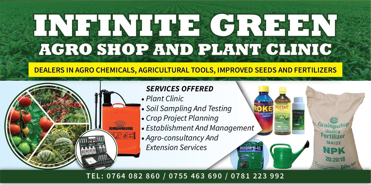 Onesmuslee0707's tweet photo. As the name suggests plant clinics are there to manage plant health problems. 
Plant clinics are run by trained plant doctors, who are mostly extension agents. When farmers discover health problems with their plants, they visit these clinics and explain the problem to the plant https://t.co/Y1BIeLVp3t