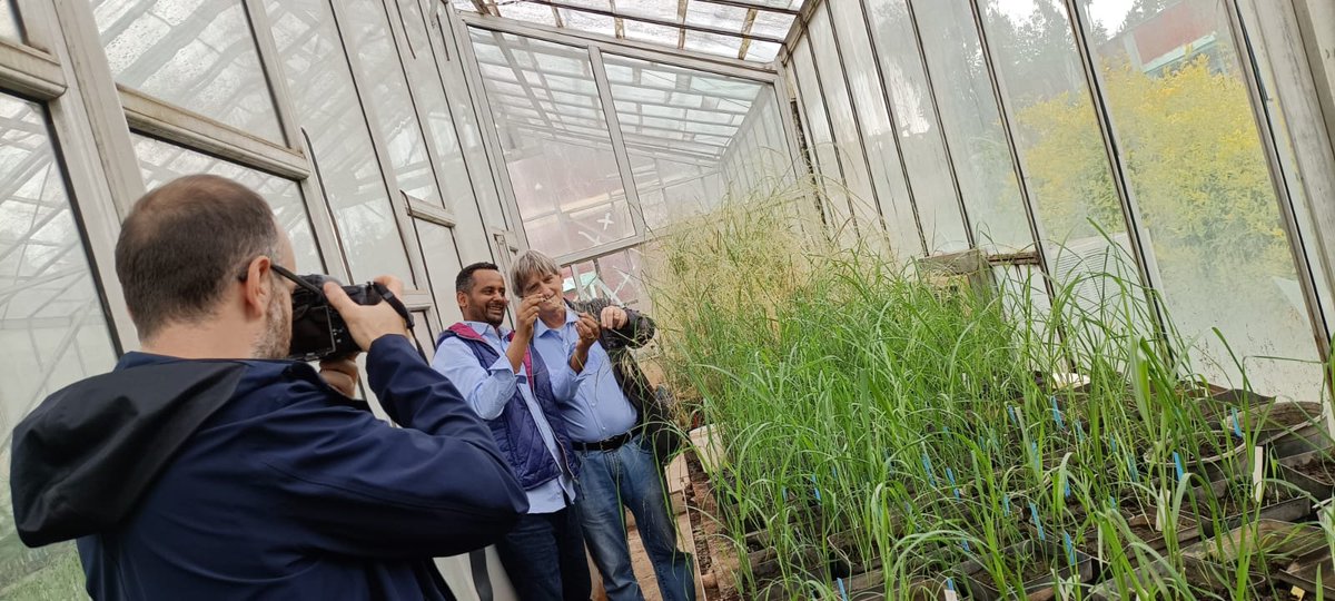 Scuola Superiore Sant’Anna Agrobiodiversity, Genetics group and ARARI visited Ethiopian Institute of Agricultural Research (EIAR), Debre Zeit Agricultural Research Center (DZARC). We had a fruitful discussion and visited teff experimental field.