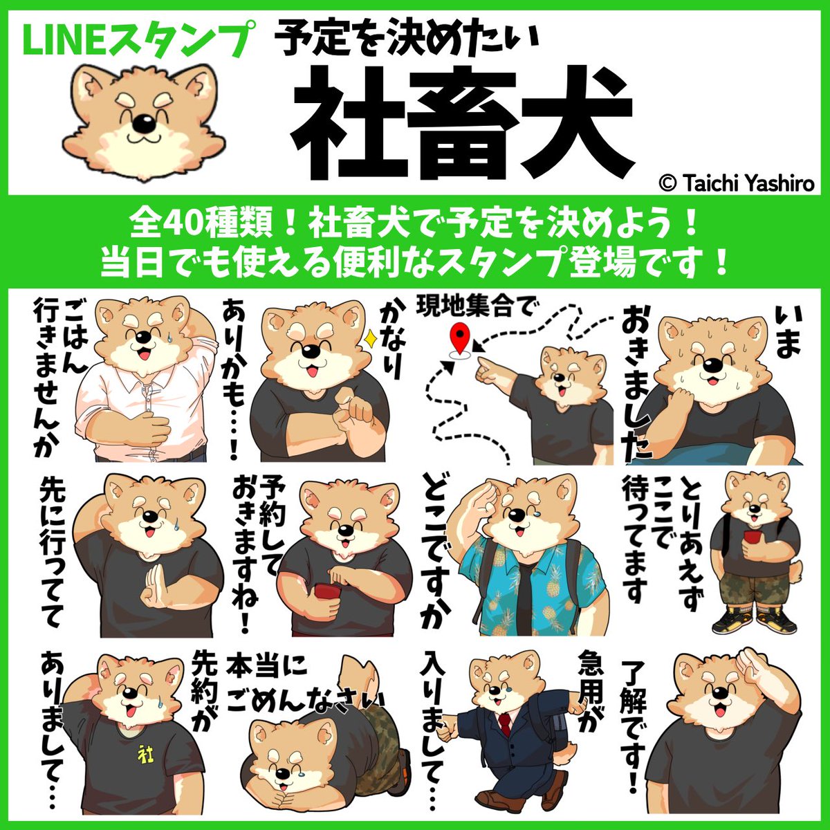 もやた/矢城太一 tweet media