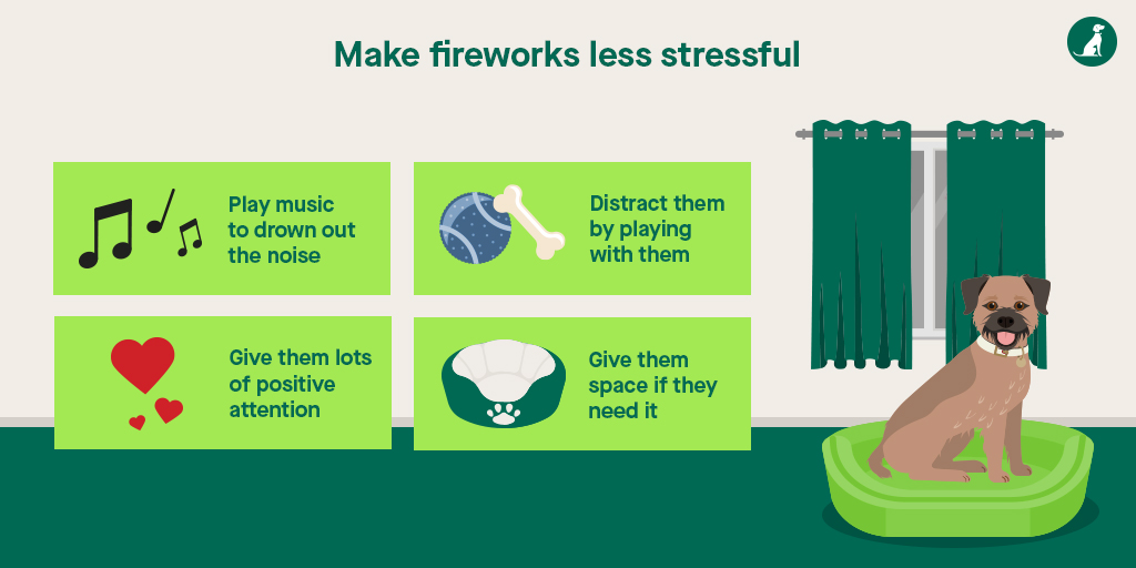 Remember, remember the 5th of November! Read our top tips at: petlog.org.uk/fireworks.