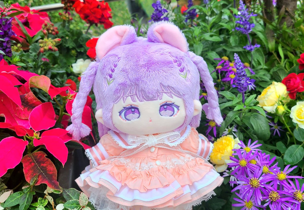 구청 꽃밭에 블루 세이지 심어져있어서 청사를 향해 점핑큰절하고 구청 홈페이지 가입하여 조경하시는 분 칭찬하는 글까지 씀
감사합니다... 감사합니다...