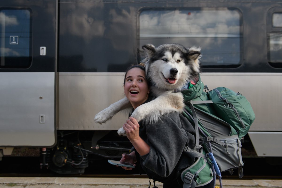 There is a place for everyone in @Ukrzaliznytsia. Paramedic from Portugal carries a dog named Baby Devil on her shoulders, whom her military friends found in Severodonetsk. Dog is now constantly with her new friend, who is helping our military at the frontline For @globeandmail