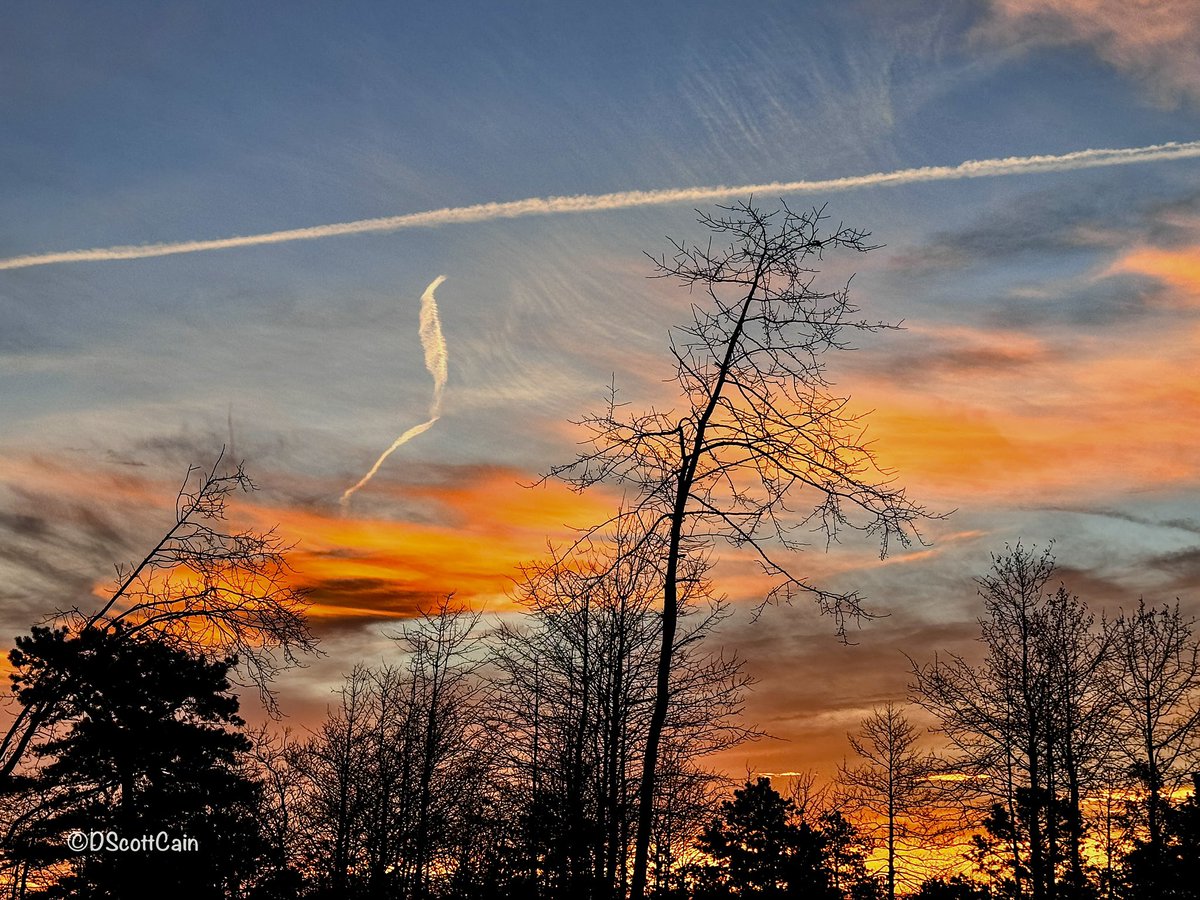 Sunrise on south mountain Michaux State Forest. #sunrise #sunrisephotography #michauxstateforest #naturesbeauty #adamscountypa #fallseason2023 #outdoorphotography #pennsylvaniabeauty #sonyphotography #sunrisephotography #sunriseporn #sunriselovers