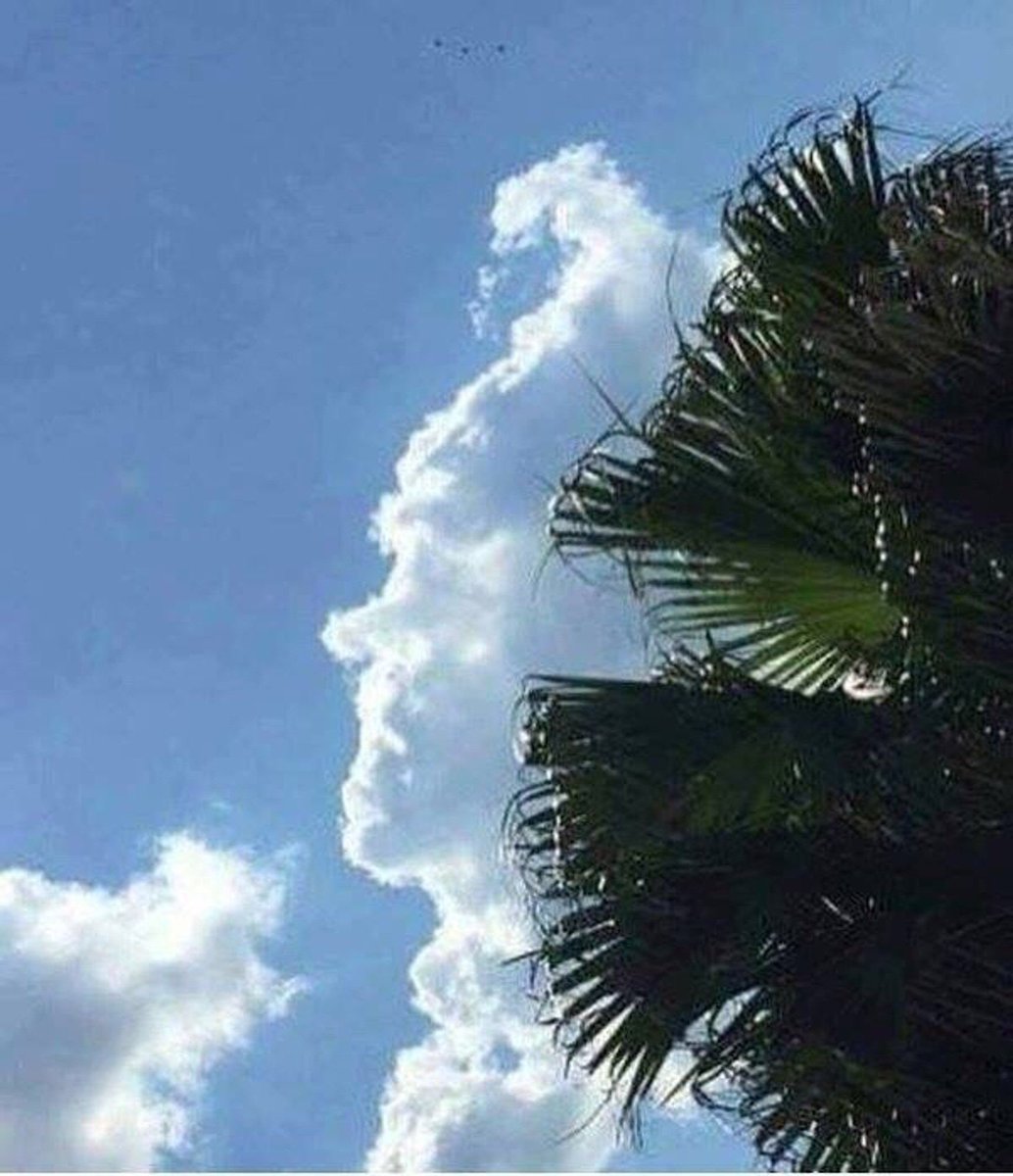 This cloud looks like Morrissey