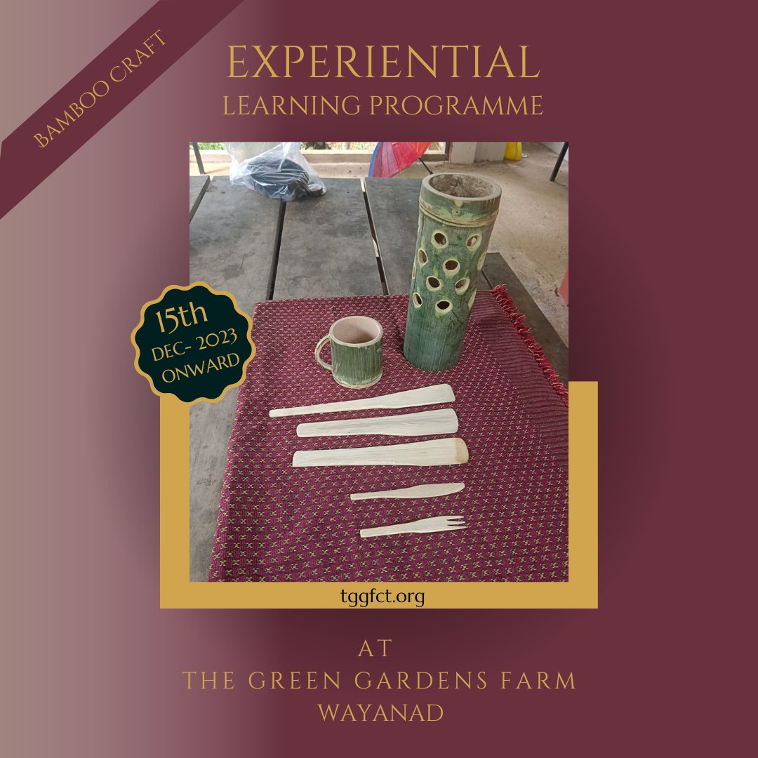 TGGFCT's tweet photo. "Creativity is endless like the creation". We've cultivated a thriving bamboo grove at Green Gardens Farm, providing you with a fantastic opportunity to unleash your creative potential https://t.co/laQ5ffYyqF  #ecocrafting #imaginativedesigns #DesignThinking #DIY https://t.co/iHeUr9a3q2