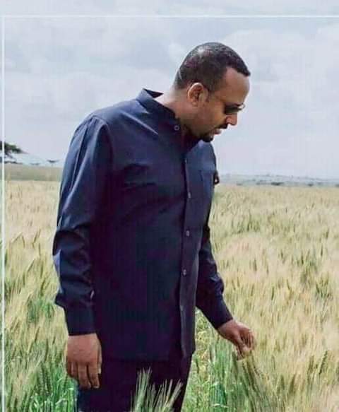 Through agricultural reforms and investment during past 6 years in rural development, Prime Minister Abiy Ahmed has empowered farmers and strengthened food security in Ethiopia. #AbiyAhmedAli #Ethiopia_prevails @MikeHammerUSA @SkyNewsBreak @VOAAfrica