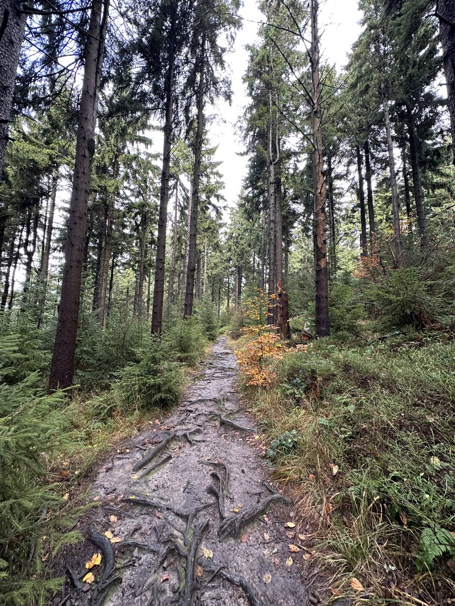 VBohusova's tweet photo. #Beskydy ⛰️🩶 https://t.co/TOE7KpQA1Y