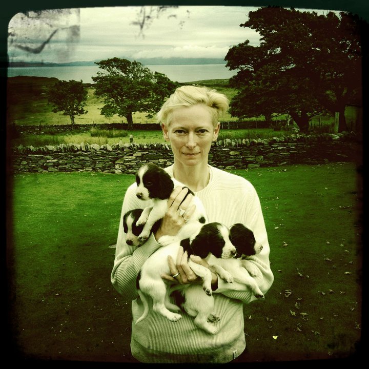 A very happy birthday to Tilda Swinton.

Pictured here on her farm with her pack of puppies, Scotland 2014.