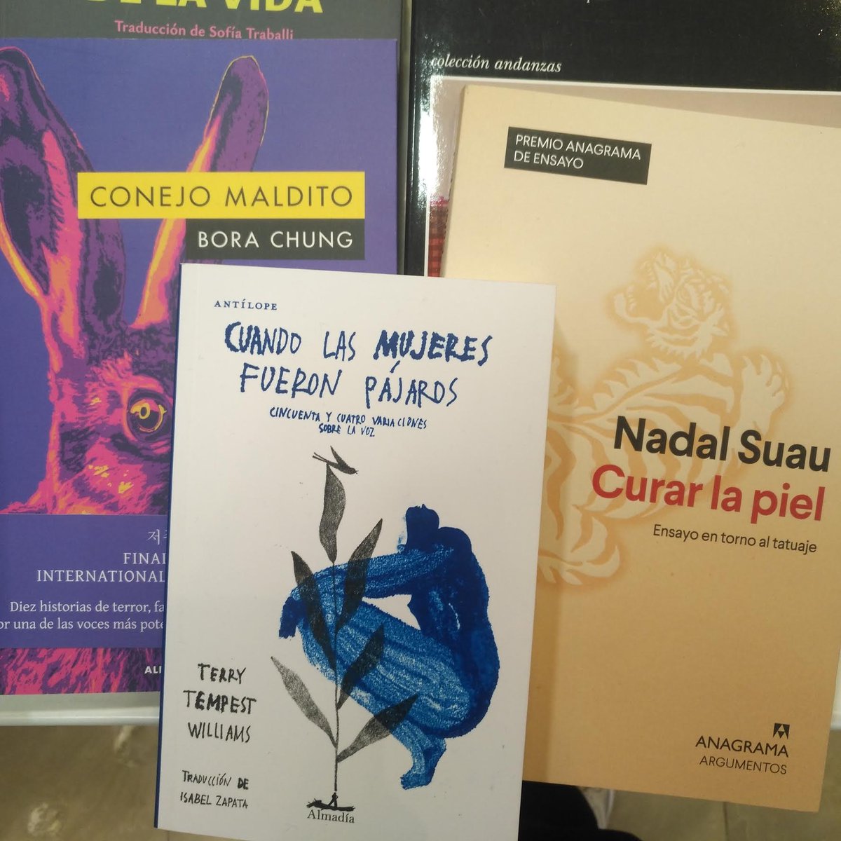 libreriapraga's tweet photo. Han llegado algunos libros nuevos así de bonicos.

#librería
#Granada
#novedades
#AlphaDecay
#Almadía
#Anagrama https://t.co/M4SnXbhbD5