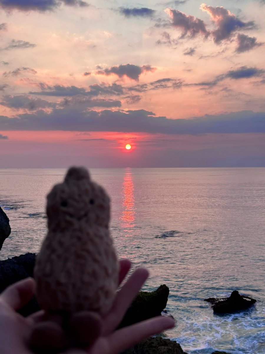 JinmangoG's tweet photo. Life may be like this, with more experience and less fantasy, balancing the pain of life with practical pleasure. https://t.co/CqjJirmZjo