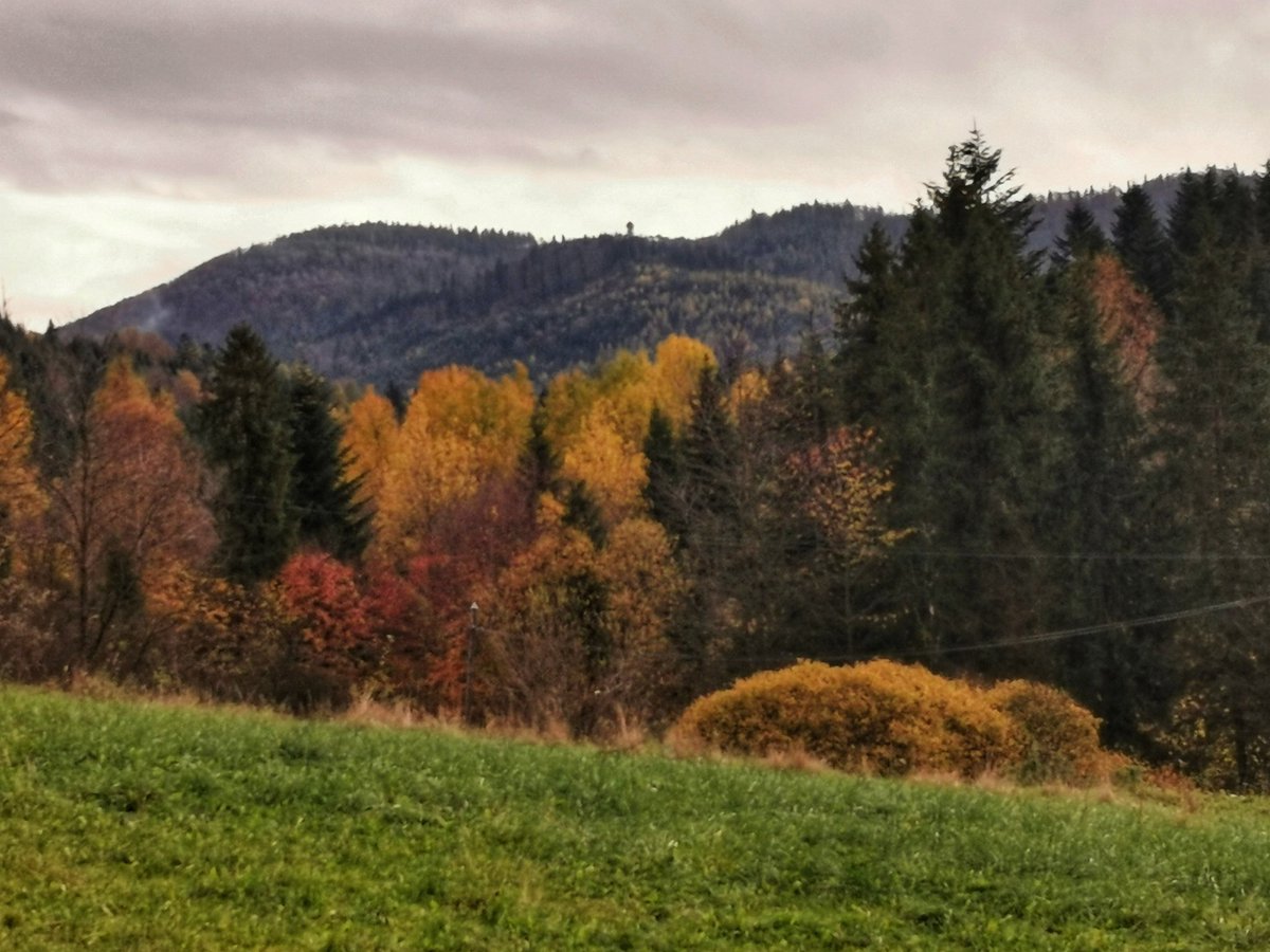 GorBurzan's tweet image. #Gorc pod chmurami
#polskałotajesień
#Poland