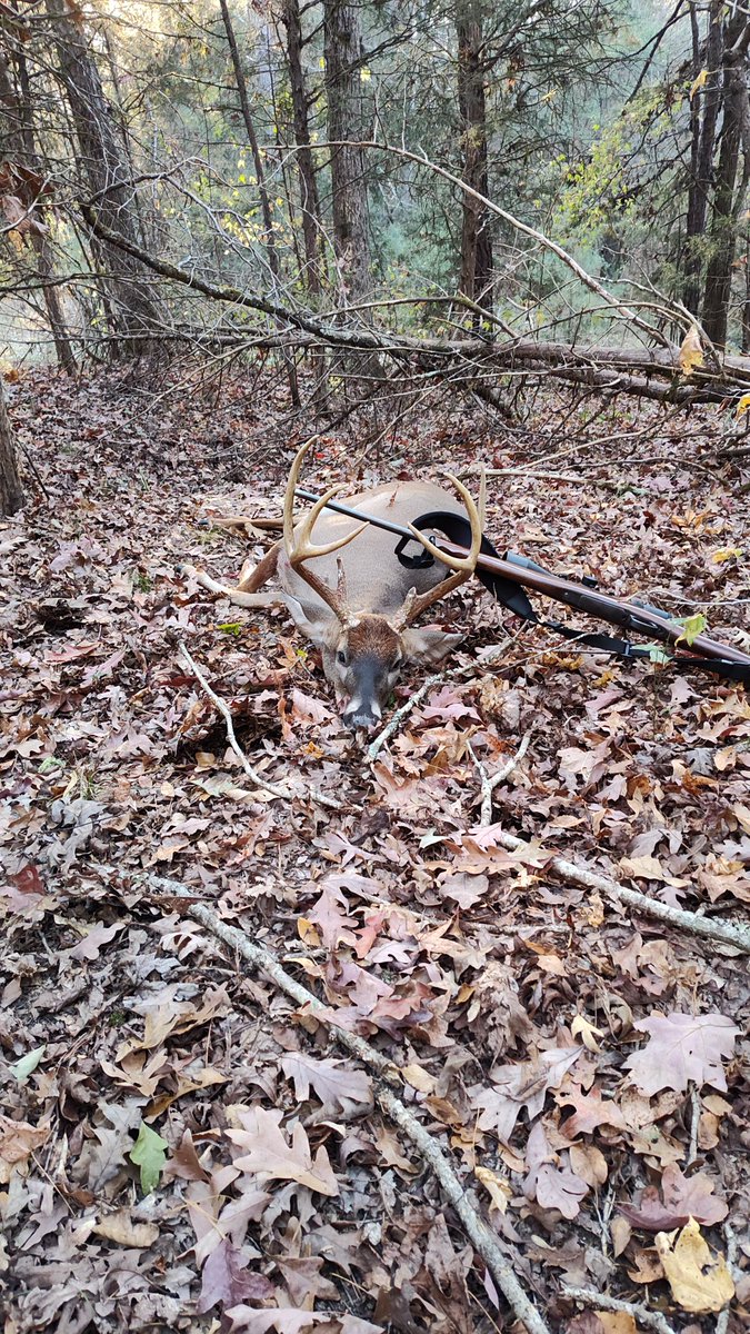 TimYoder17's tweet image. 1st deer on the new lease!