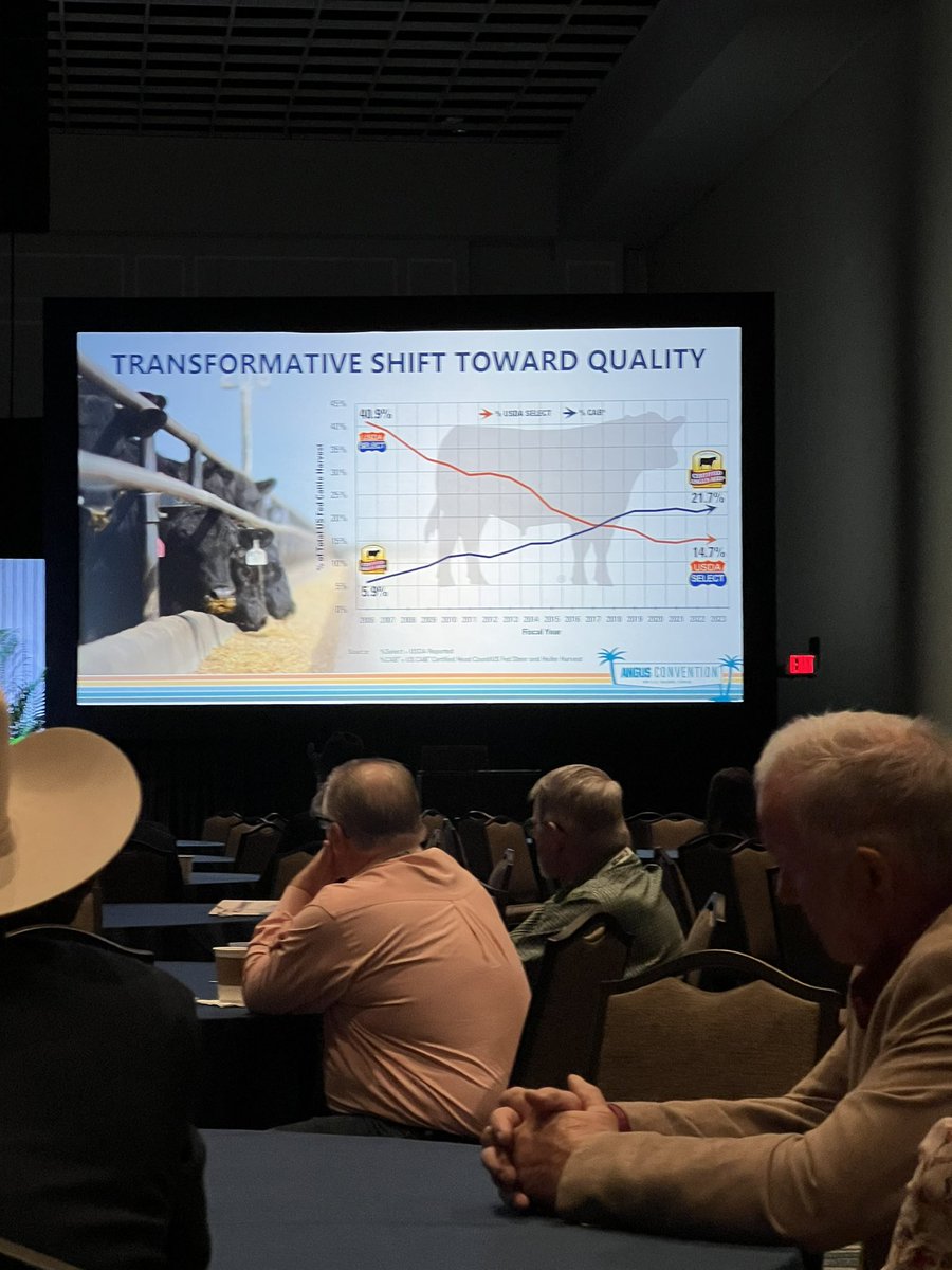 Certified Angus Beef Cattleman Connection tweet media