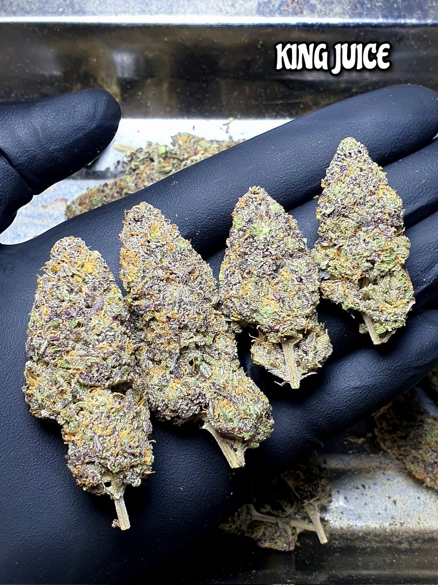 buzzthx999's tweet photo. หอมหวานจริงตัวนี้ ‼️

📌Contact 
Facebook: GBuzz Grower 
👉 Line https://t.co/bxDDc9lOIj

#Bangkokweed #WeedThailand #กัญชา #กัญชากทม #สายเขียว #กัญชาog #กัญชาไฟฟ้า #กัญชานอก #กัญชาออแกนิค #กัญชาราคาถูก #��ุขุมวิท #กัญชาอัดแท่ง #ขายกัญชา #กัญชาใกล้ฉัน #กัญชารังสิต #กัญชาเชียงใหม่ https://t.co/xKAm2v6TlX