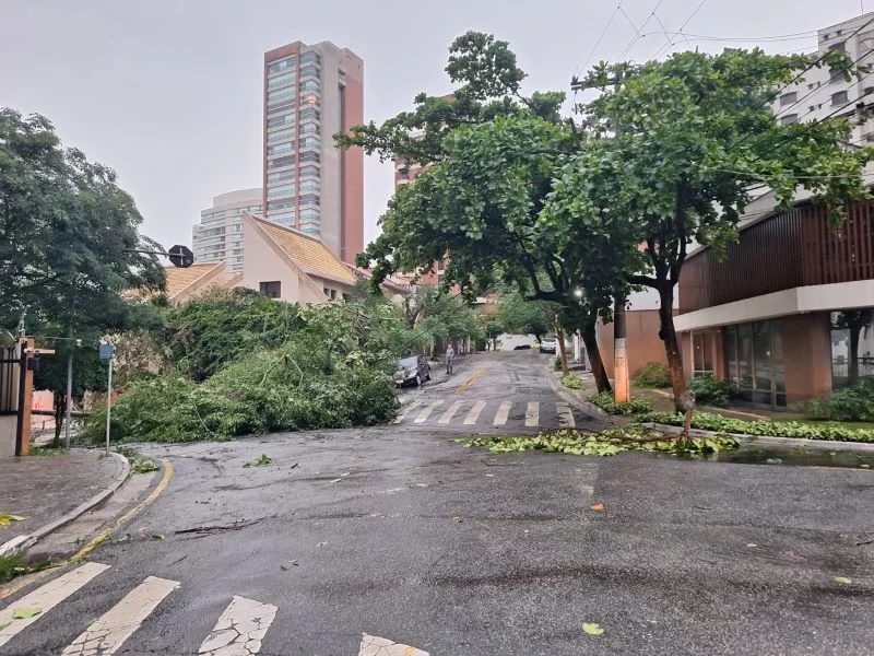 Metropoles's tweet photo. 💡 Bairros de SP seguem sem luz 17h após chuva: “Cadê a Enel?”

Moradores de diferentes bairros da capital e da região metropolitana continuam sem luz na manhã deste sábado (4/11)

Leia: https://t.co/3yS0YECEav https://t.co/o1Fzs92Jat