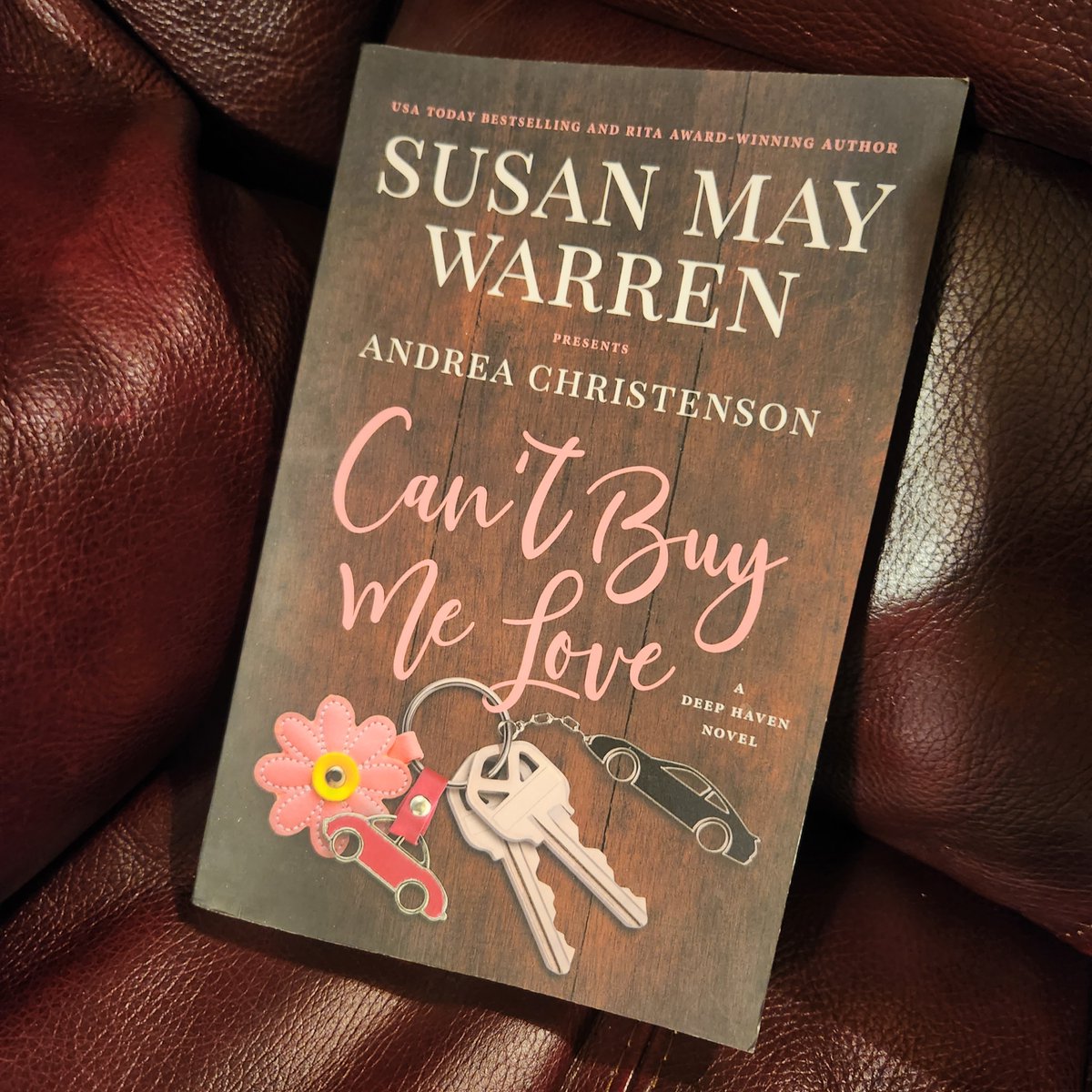 Shenandoah_Dawn's tweet photo. Vacation read—gentle and heartwarming! You have to check out Andrea’s stories if you haven’t already. 😊 #bookishchallenge https://t.co/NAAve3S1ue