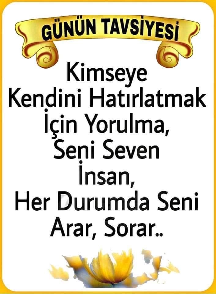 Aydın Yücekök (@yucekokn) on Twitter photo 