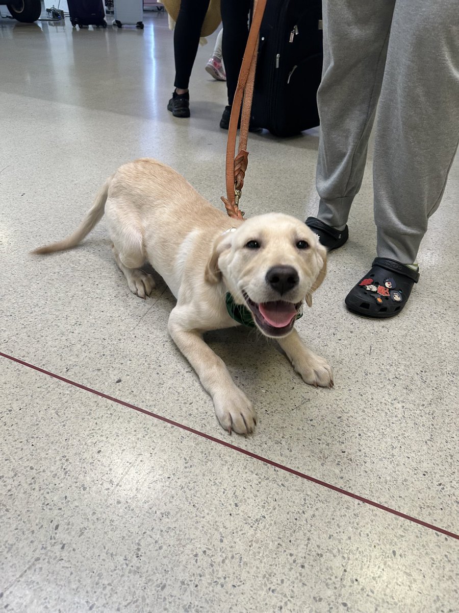 Carl Hicks tweet media