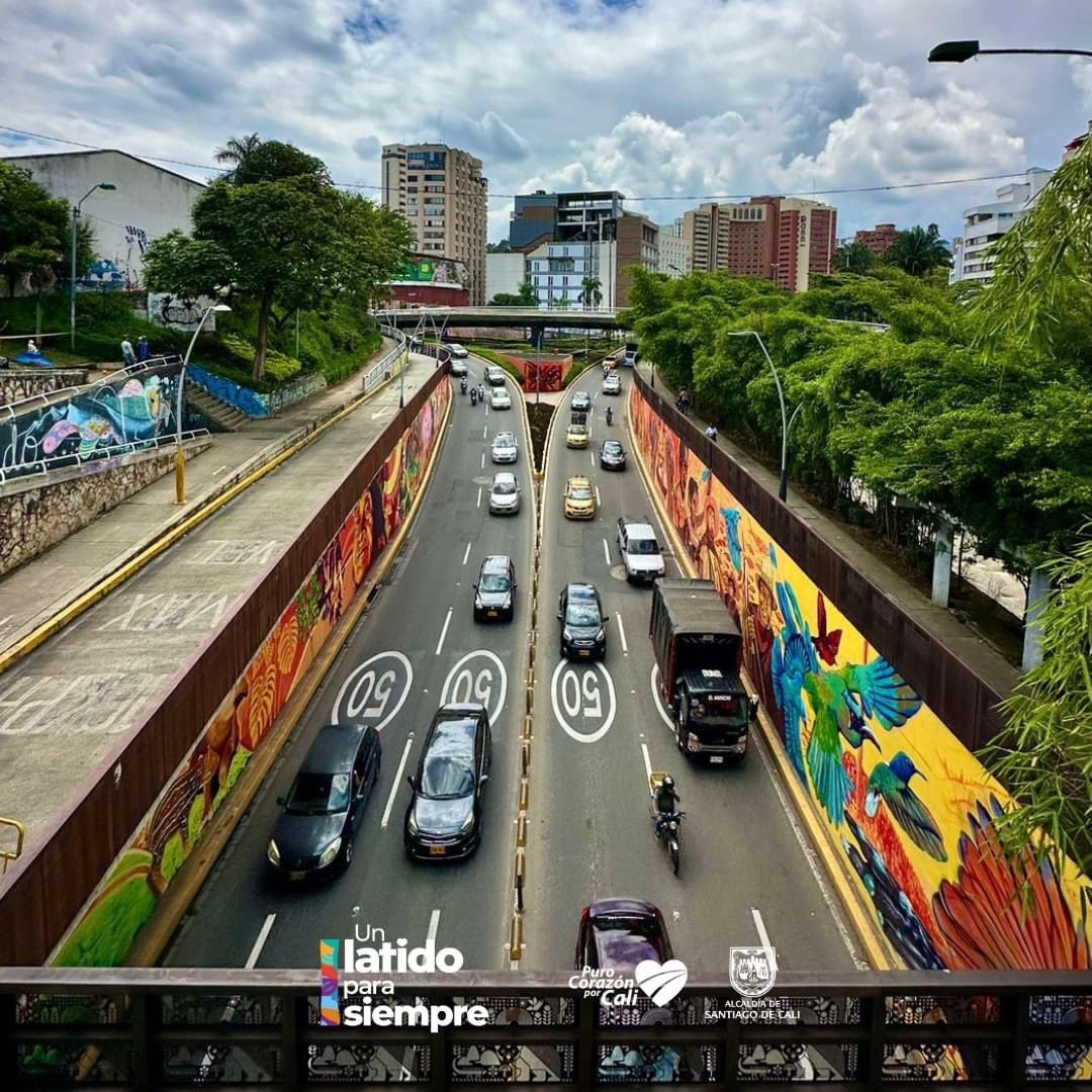 AlcaldiaDeCali's tweet photo. El túnel de la Avenida Colombia continúa llenándose de vida y color. 🥰

Así avanza el trabajo de estos artistas talentosos que continúan plasmando lo que somos los caleños a través de maravillosos murales.

#UnLatidoParaSiempre 💙❤️💚 https://t.co/BxfSVSffjA