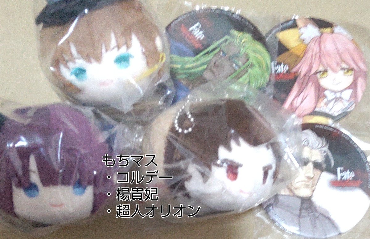 Fate/Grand Order ぐだ子 もちもちマスコット | www.reelemin242.com