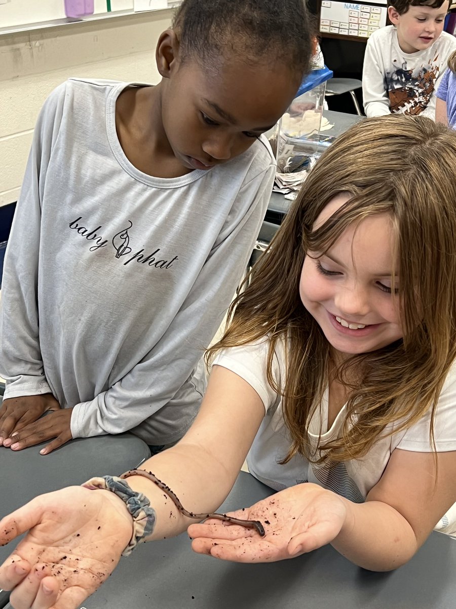 KiserClass's tweet image. Vermicomposting - The science of using worms to convert biodegradable waste into nutrient rich soil. The best part is that we can OBSERVE the changes over time. #LearnByDoing #MakeTimeForScience