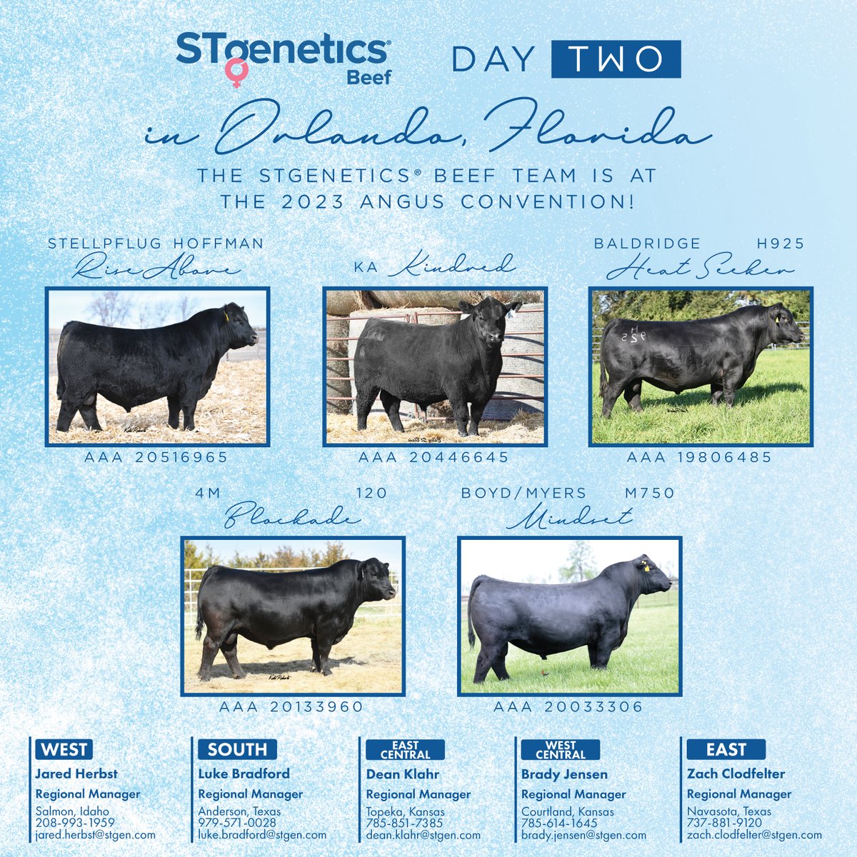 STgeneticsBeef's tweet photo. The STgenetics® Beef team this weekend in Orlando, Florida for the 2023 Angus Convention! Find one of our representatives to ask about our elite beef sire lineup, and check your attendee bags for a copy of our 2023 Fall Catalog! https://t.co/5WcTBcUv35