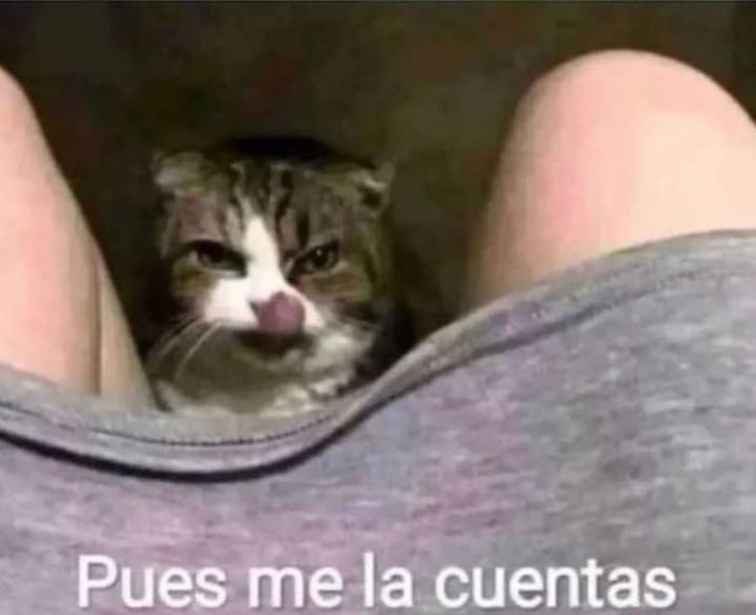 Acaba de empezar la pel&iacute;cula  Yo: https://t.co/CDVLWjlb11