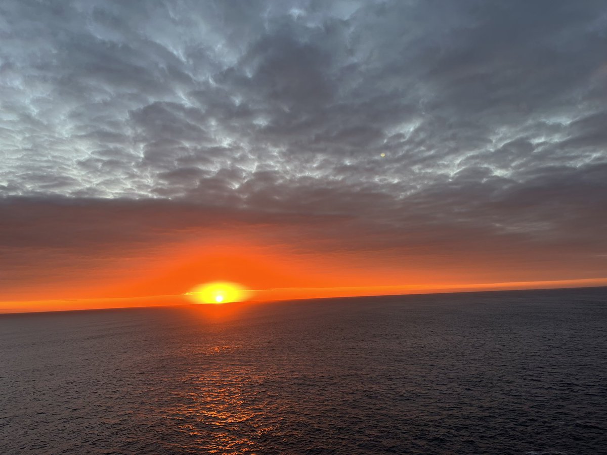 Johanna Brown tweet media