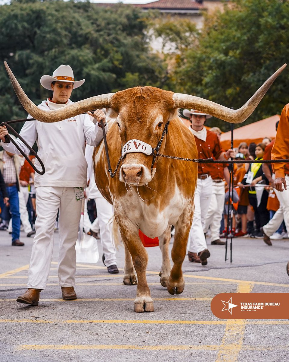 TexasLonghorns's tweet photo. good morning big guy 🤘

#HookEm | @TXFBinsurance https://t.co/SdjfOOgGAZ