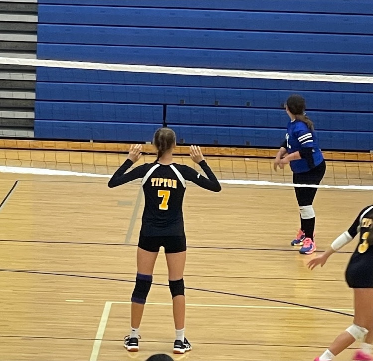 TiptonTigersCSD's tweet photo. Good luck today to our 🏐 players turned 🏊‍♀️ today!! Kick butt at regionals! 

📍 Linn Mar
⏰ 12:00 pm https://t.co/sV2moY6WAO