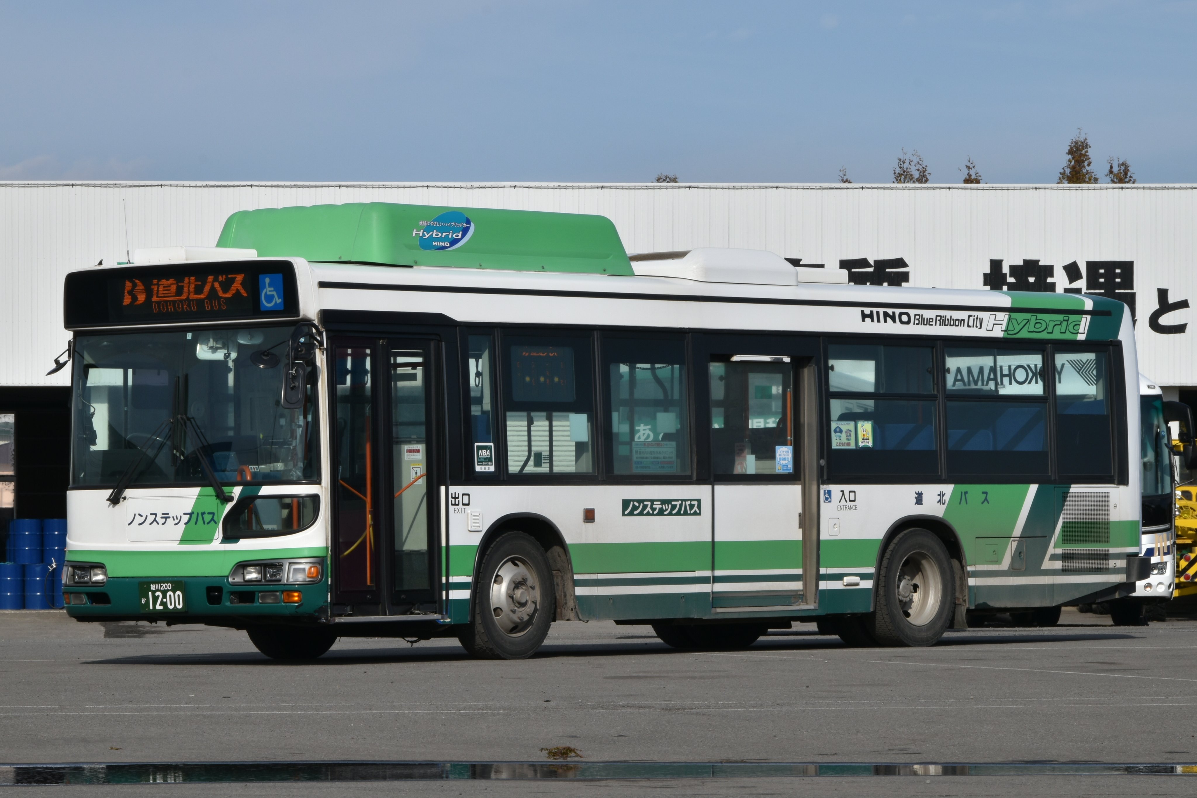 蓮華 81qKgMd6XOL._UF350,350_QL80_.jpg