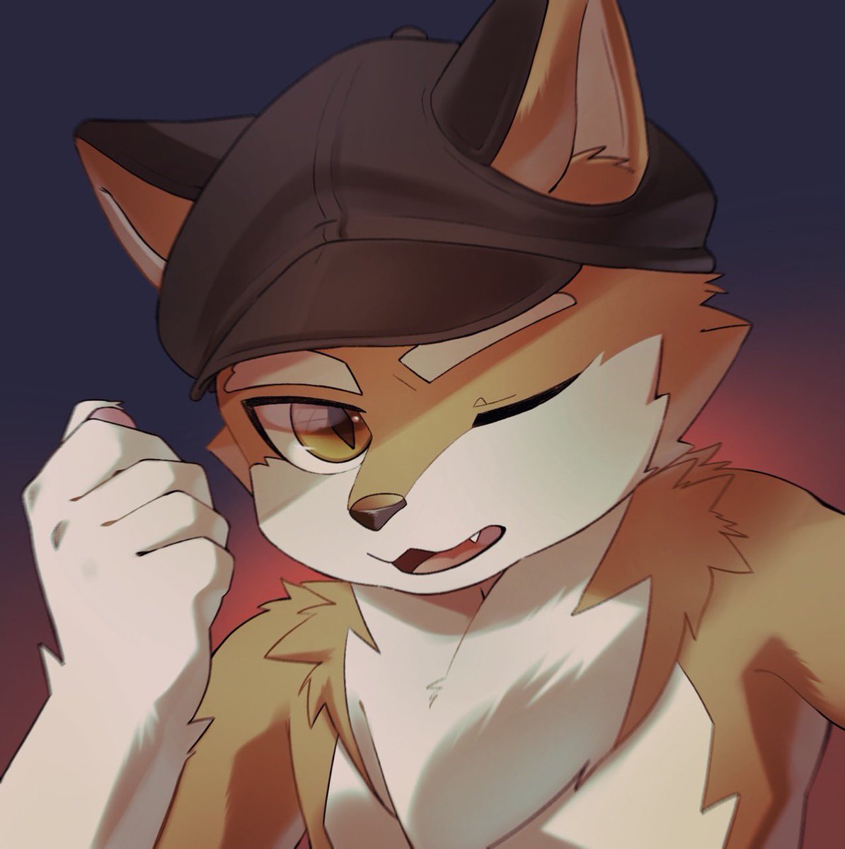 HAL Gecko tweet media