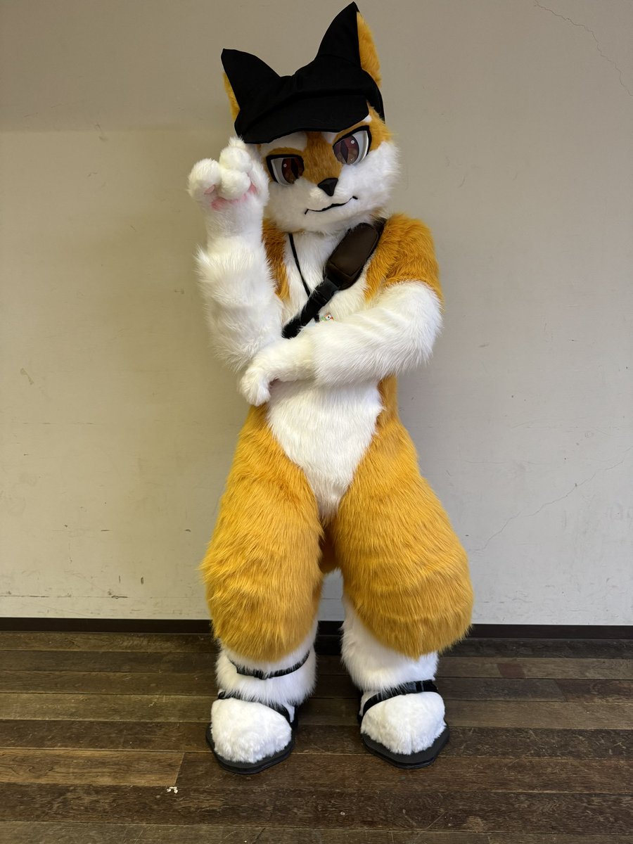 HAL Gecko tweet media