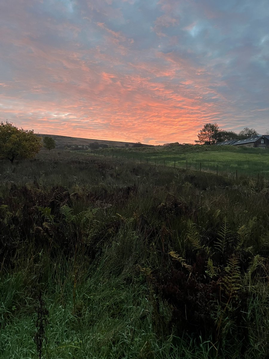 Stunning sky this morning